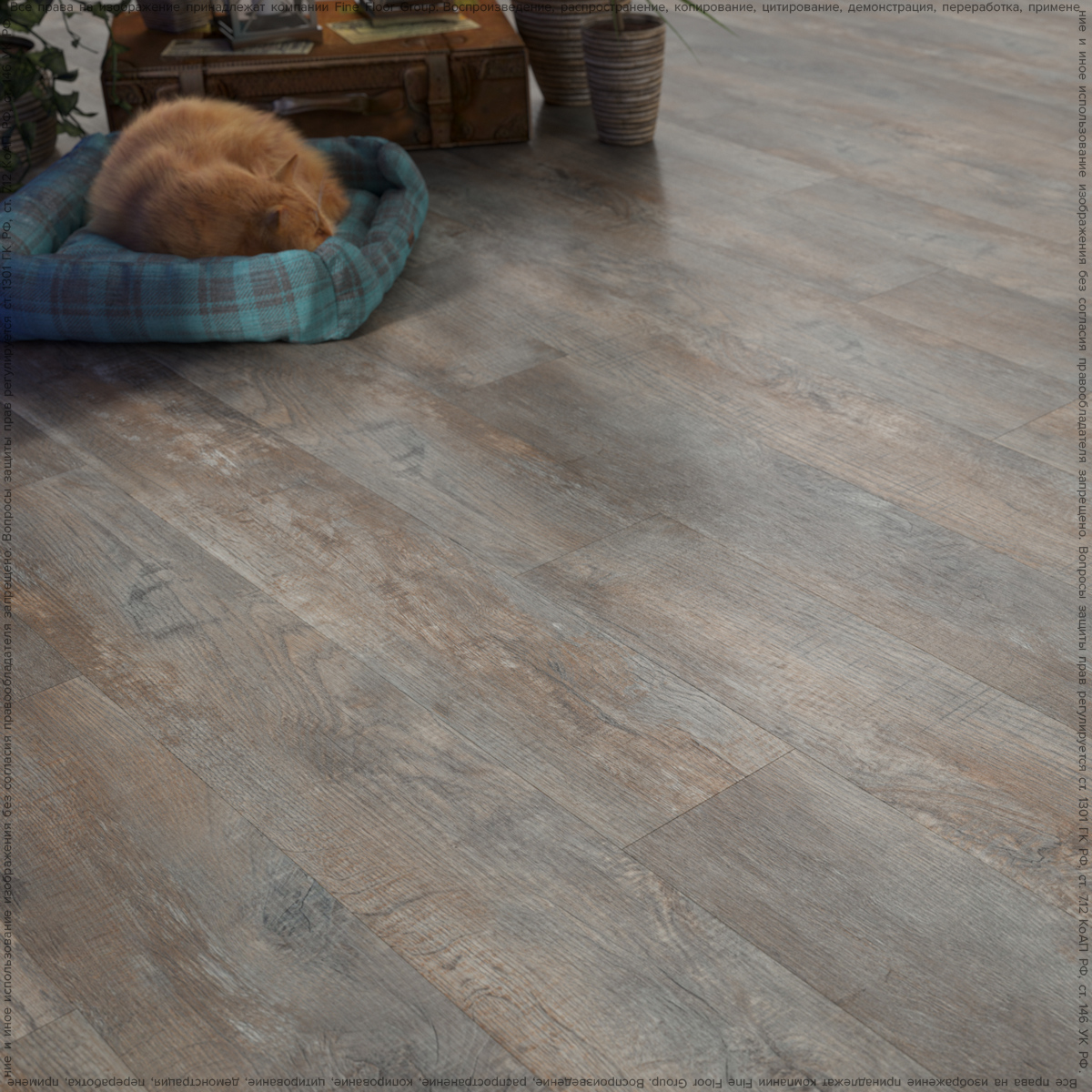 Новинки! Fine Floor (Бельгия) представляет улучшенные клеевые коллекции!