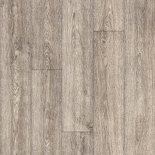 Indian Oak 6