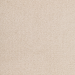 TREND 03
