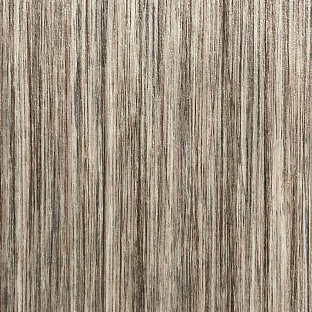 Shell Linea